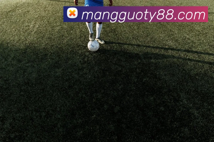 奖项2